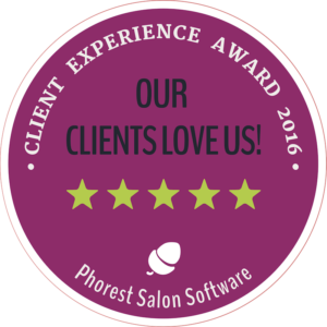 Client Experience Award 2016 [2477858]